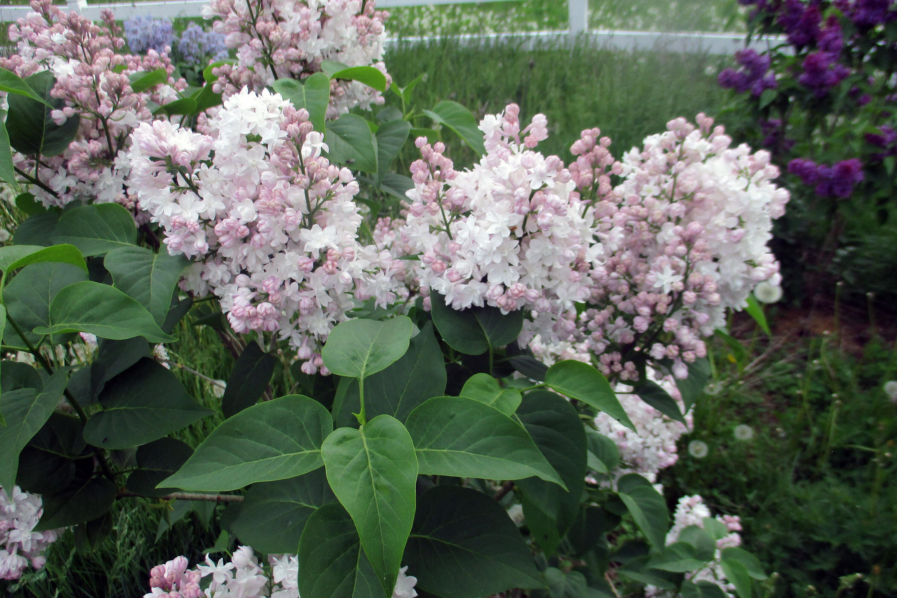 84 N Road Newburgh, ME 04444 - Photo 39 of 43 IMG_5818