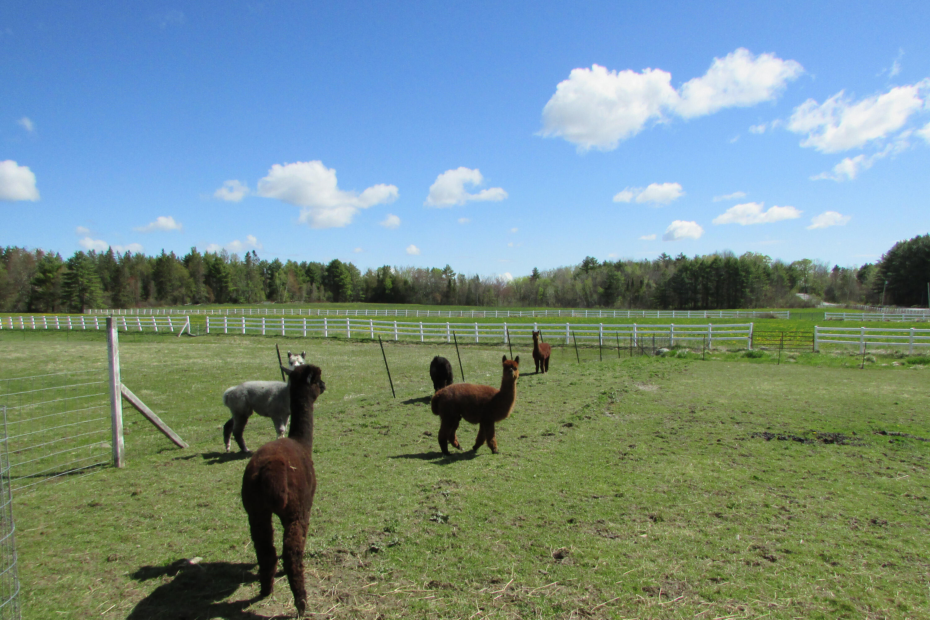 84 N Road Newburgh, ME 04444 - Photo 40 of 43 IMG_5318