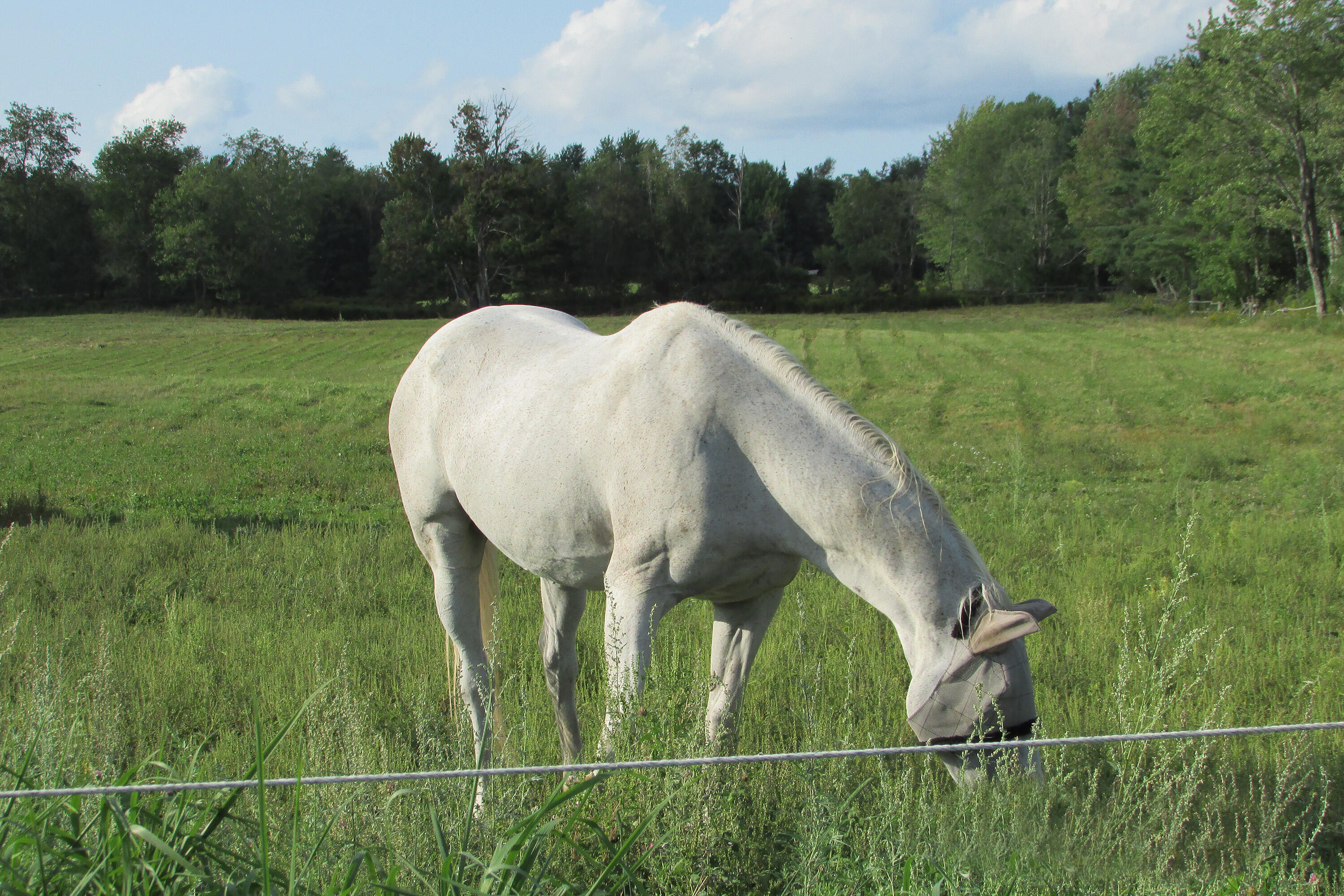 84 N Road Newburgh, ME 04444 - Photo 41 of 43 IMG_6012