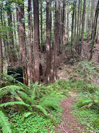 $849,000 | 46320 Iversen Road, Gualala, CA 95445