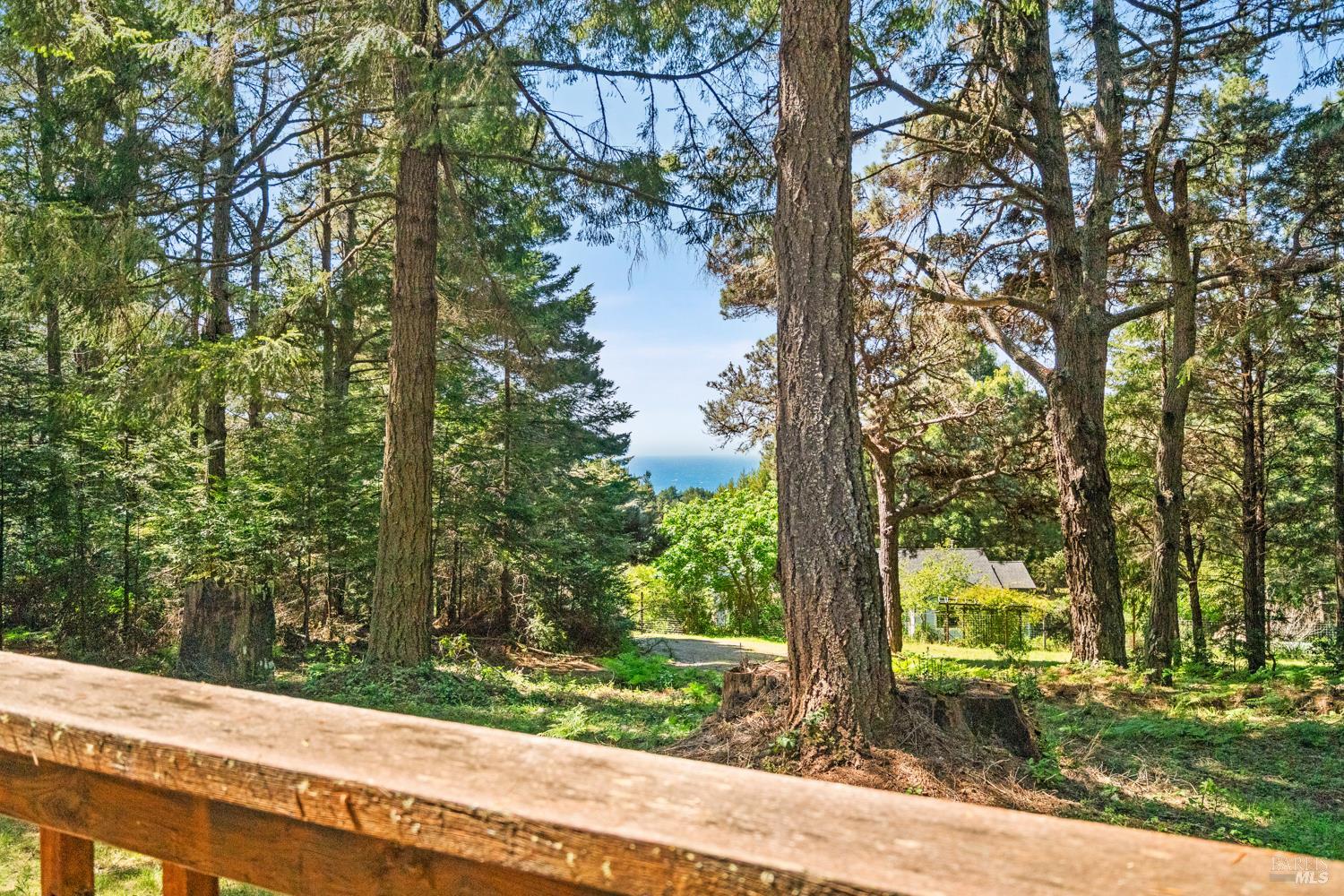 46320 Iversen Road Gualala, CA 95445 - Photo 32 of 46 a view of a garden from a tree