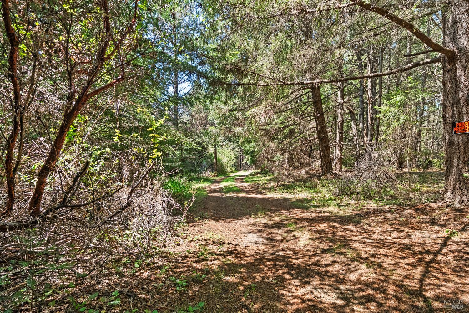 46320 Iversen Road Gualala, CA 95445 - Photo 39 of 46 a backyard of a house with lots of green space
