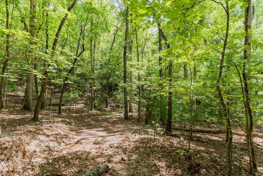 Tbd Waldroup Road Hayesville, NC 28904 - Photo 1 of 16 Main View