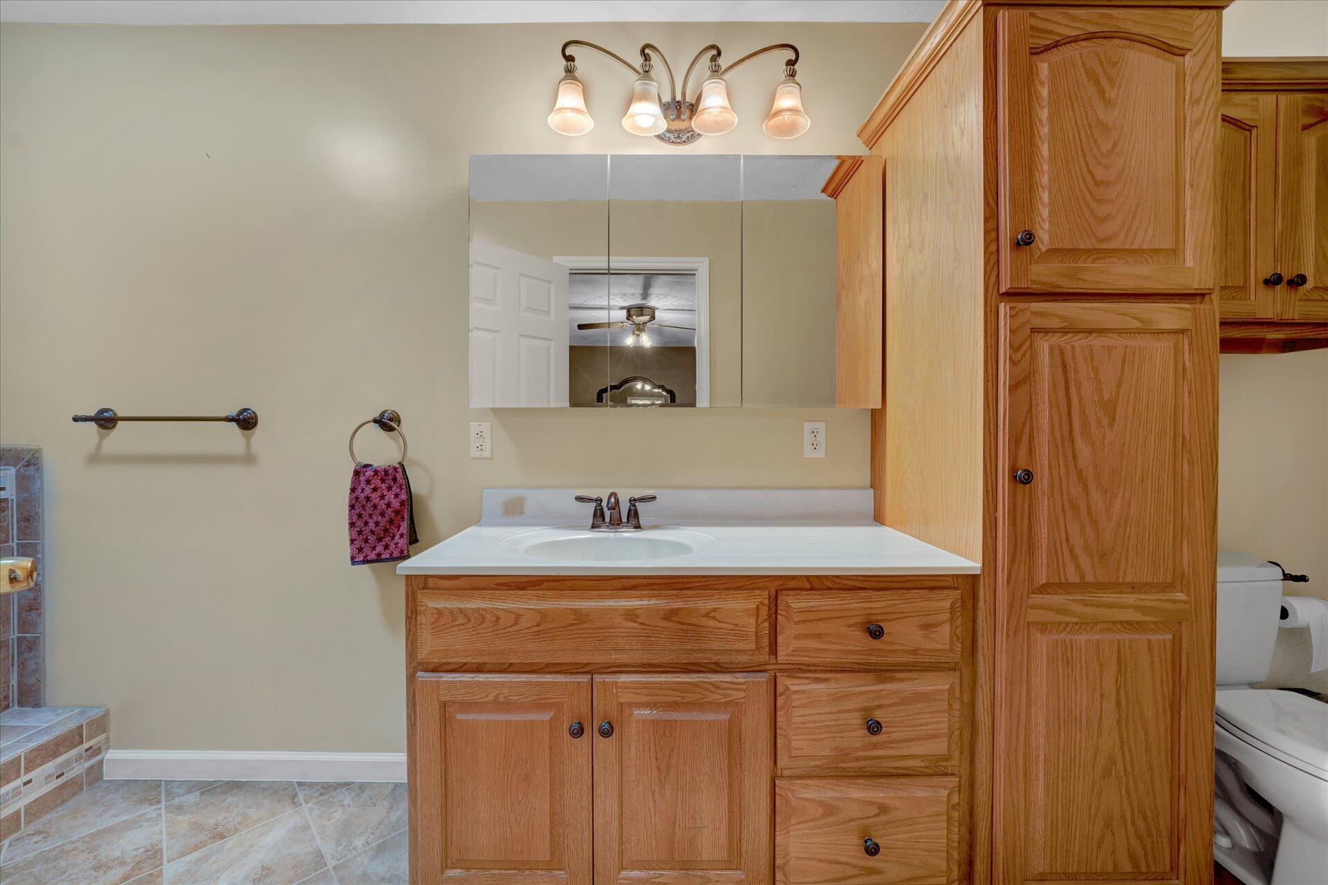 1041 Owen Ridge Lane Goodview, VA 24095 - Photo 25 of 58 a bathroom with a sink and a mirror