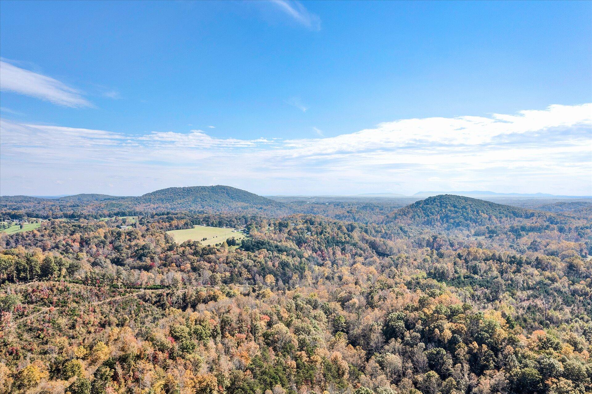 1041 Owen Ridge Lane Goodview, VA 24095 - Photo 49 of 58 a view of a city with mountains in the background