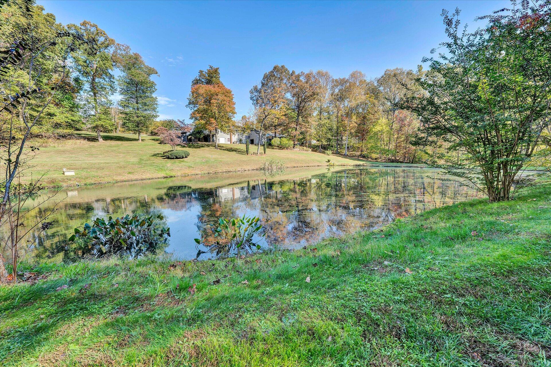 1041 Owen Ridge Lane Goodview, VA 24095 - Photo 52 of 58 a view of a garden with a building in the background