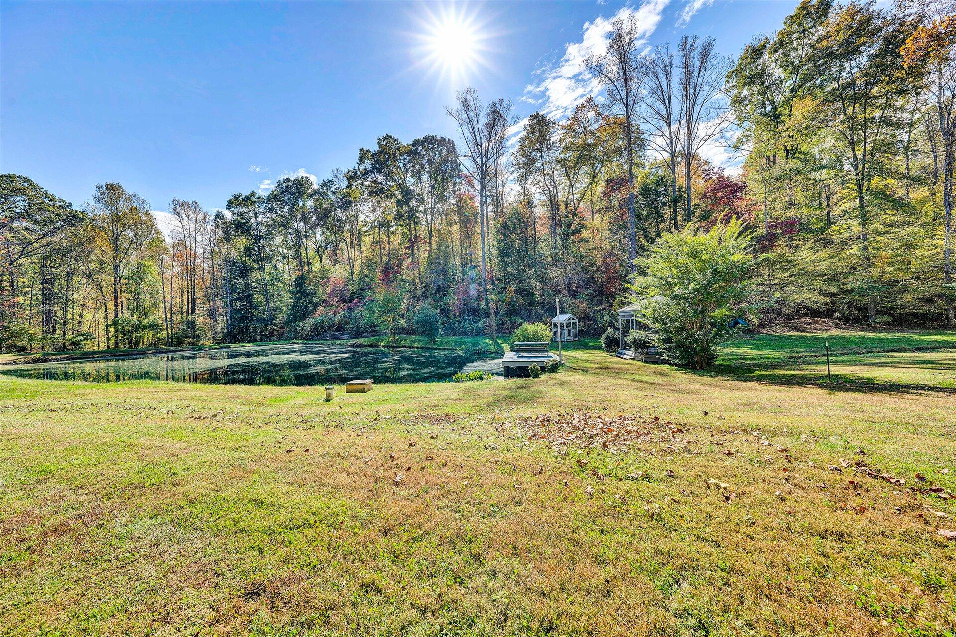 1041 Owen Ridge Lane Goodview, VA 24095 - Photo 55 of 58 a view of a yard with trees
