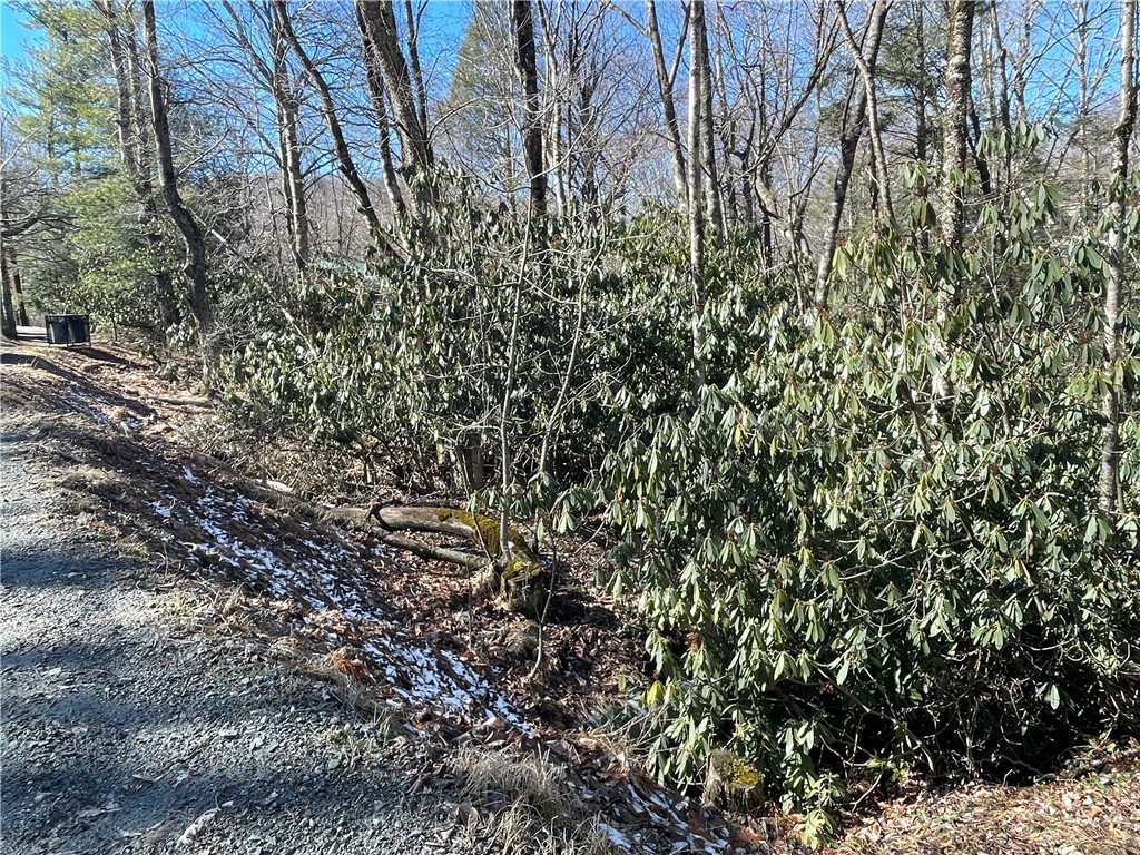 252 Greenbriar Road Beech Mountain, NC 28604 - Photo 6 of 17