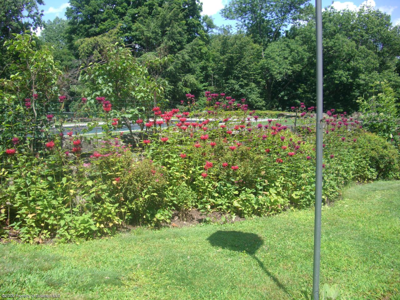 Abington Road Waverly, PA 18471 - Photo 3 of 8 Gallery Image 3