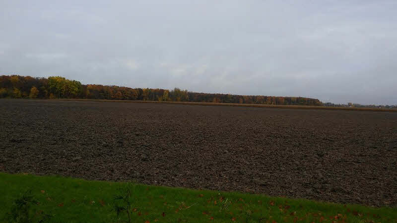 1349 Wheeler Road Auburn, MI 48611 - Photo 27 of 31