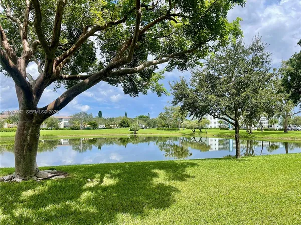 a view of a park with large trees
