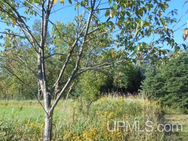 Tbd Miller Road Florence, WI 54121 - Photo 16 of 24