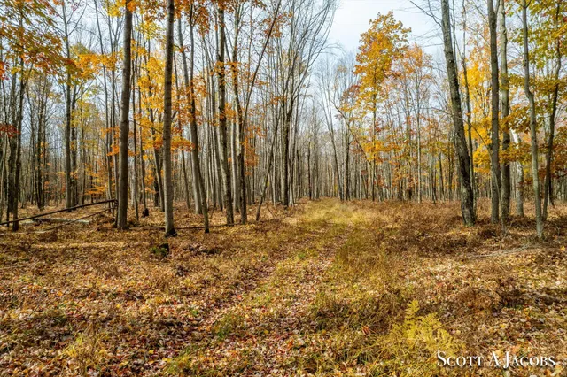 $3,200,000 | 1125 Chaput Drive, Sears, MI 49679