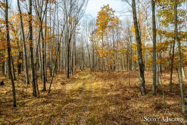 $3,200,000 | 1125 Chaput Drive, Sears, MI 49679