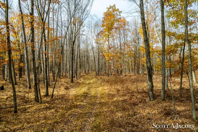 $3,200,000 | 1125 Chaput Drive, Sears, MI 49679