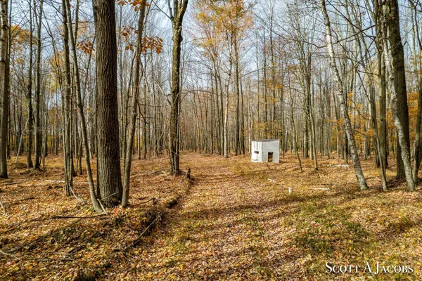 $3,200,000 | 1125 Chaput Drive, Sears, MI 49679