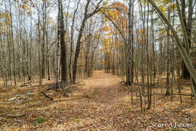 $3,200,000 | 1125 Chaput Drive, Sears, MI 49679