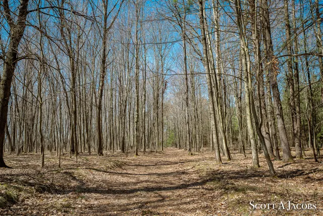 $3,200,000 | 1125 Chaput Drive, Sears, MI 49679