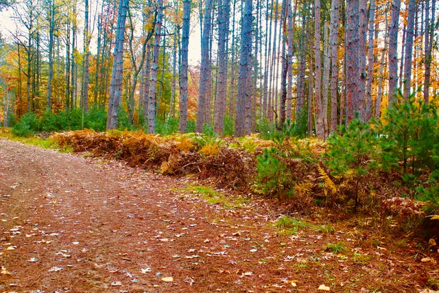 $3,200,000 | 1125 Chaput Drive, Sears, MI 49679