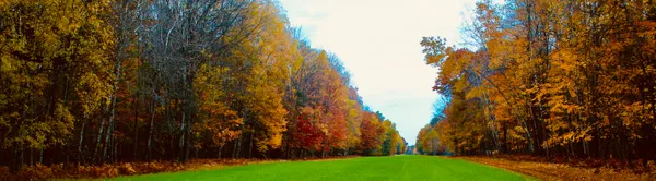 $3,200,000 | 1125 Chaput Drive, Sears, MI 49679