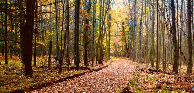 $3,200,000 | 1125 Chaput Drive, Sears, MI 49679