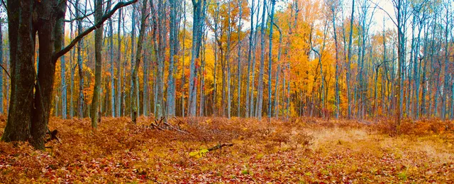 $3,200,000 | 1125 Chaput Drive, Sears, MI 49679