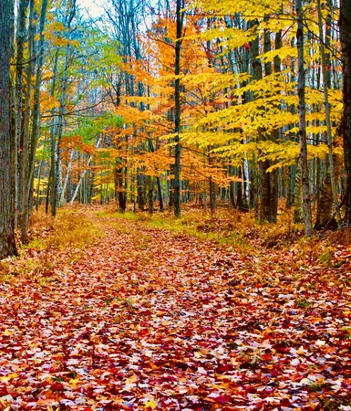 $3,200,000 | 1125 Chaput Drive, Sears, MI 49679