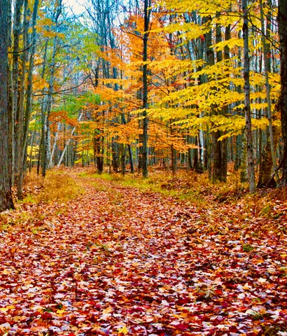 $3,200,000 | 1125 Chaput Drive, Sears, MI 49679