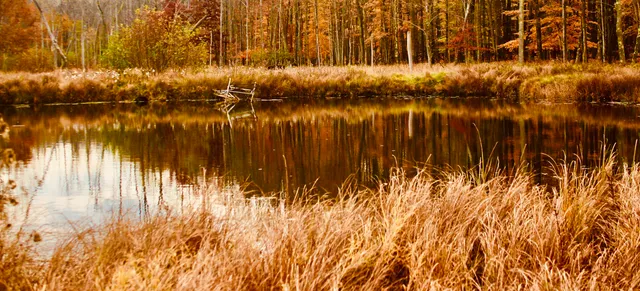 $3,200,000 | 1125 Chaput Drive, Sears, MI 49679