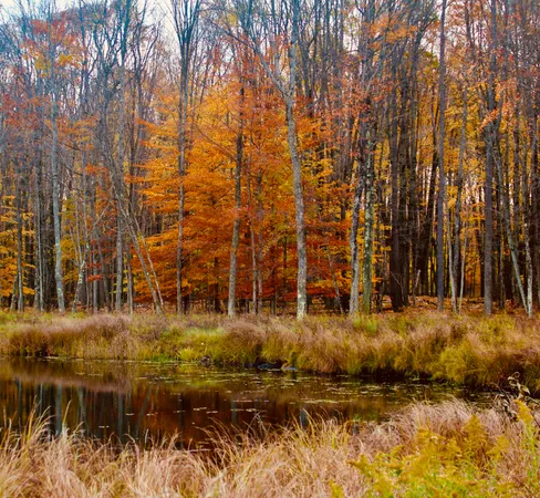 $3,200,000 | 1125 Chaput Drive, Sears, MI 49679