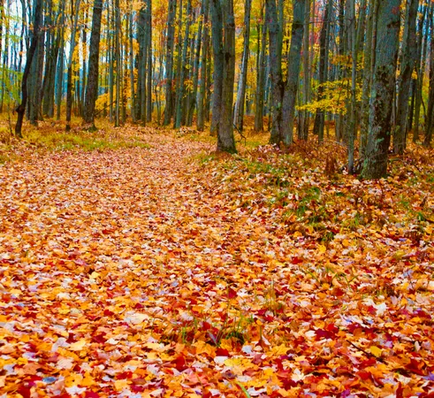 $3,200,000 | 1125 Chaput Drive, Sears, MI 49679