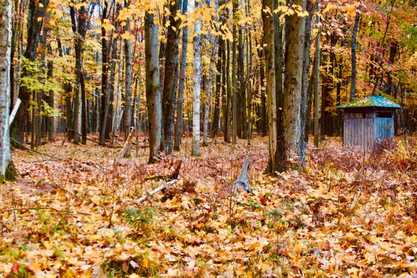 $3,200,000 | 1125 Chaput Drive, Sears, MI 49679