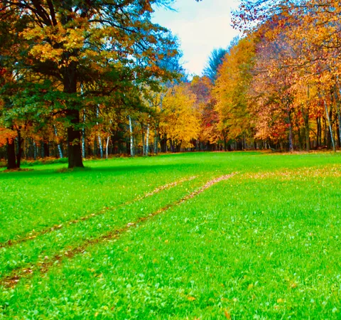 $3,200,000 | 1125 Chaput Drive, Sears, MI 49679