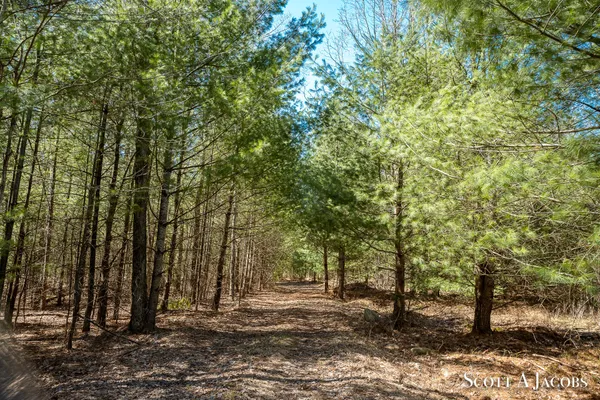 $3,200,000 | 1125 Chaput Drive, Sears, MI 49679