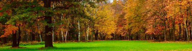 $3,200,000 | 1125 Chaput Drive, Sears, MI 49679