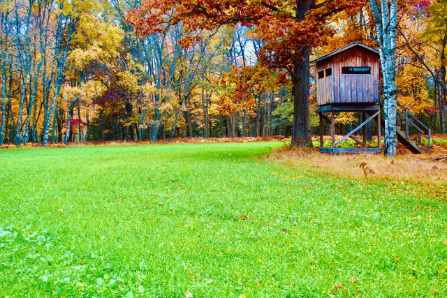 $3,200,000 | 1125 Chaput Drive, Sears, MI 49679