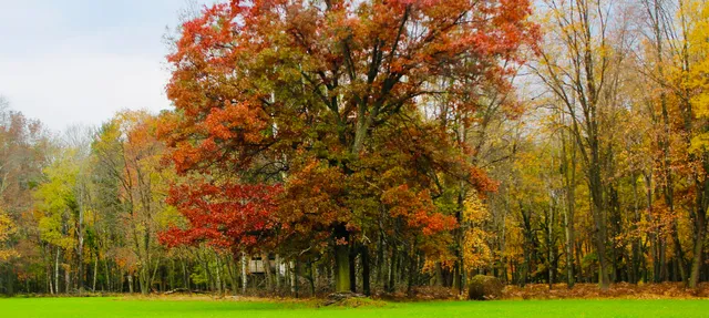 $3,200,000 | 1125 Chaput Drive, Sears, MI 49679