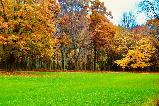 $3,200,000 | 1125 Chaput Drive, Sears, MI 49679