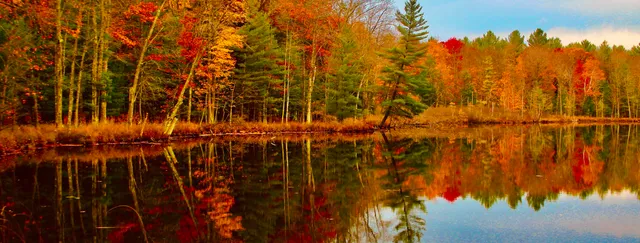 $3,200,000 | 1125 Chaput Drive, Sears, MI 49679