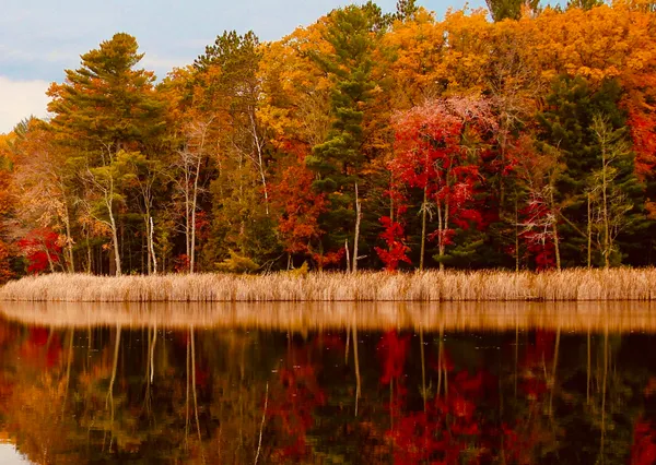 $3,200,000 | 1125 Chaput Drive, Sears, MI 49679