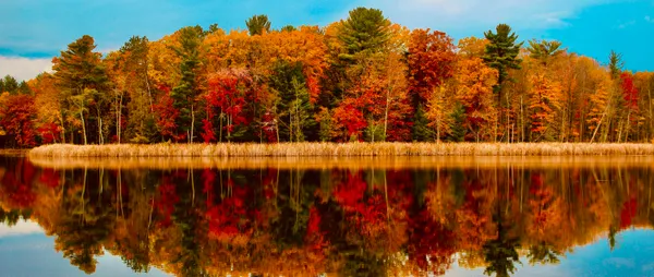 $3,200,000 | 1125 Chaput Drive, Sears, MI 49679