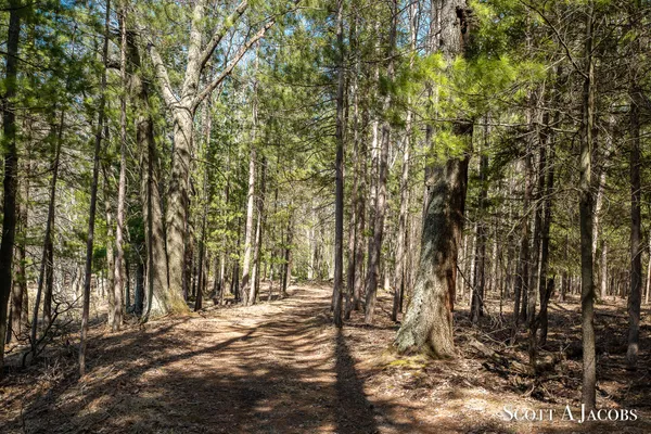 $3,200,000 | 1125 Chaput Drive, Sears, MI 49679