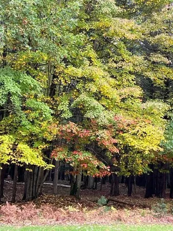 $3,200,000 | 1125 Chaput Drive, Sears, MI 49679