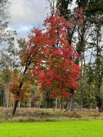 $3,200,000 | 1125 Chaput Drive, Sears, MI 49679