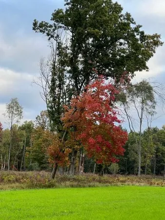 $3,200,000 | 1125 Chaput Drive, Sears, MI 49679