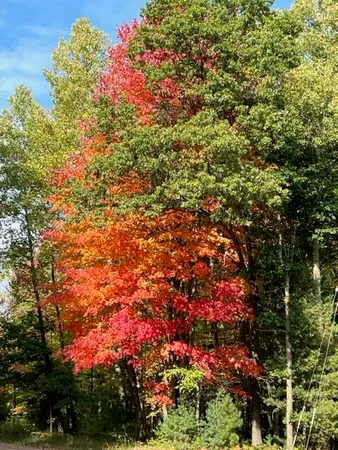 $3,200,000 | 1125 Chaput Drive, Sears, MI 49679