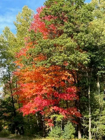 $3,200,000 | 1125 Chaput Drive, Sears, MI 49679