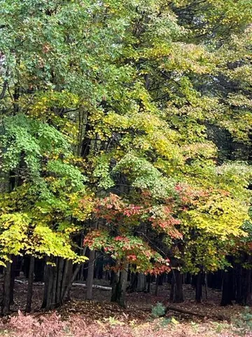 $3,200,000 | 1125 Chaput Drive, Sears, MI 49679