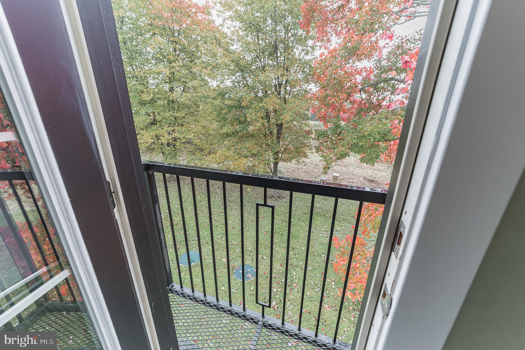 438 Red Toad Road North East, MD 21901 - Photo 19 of 32 Balcony