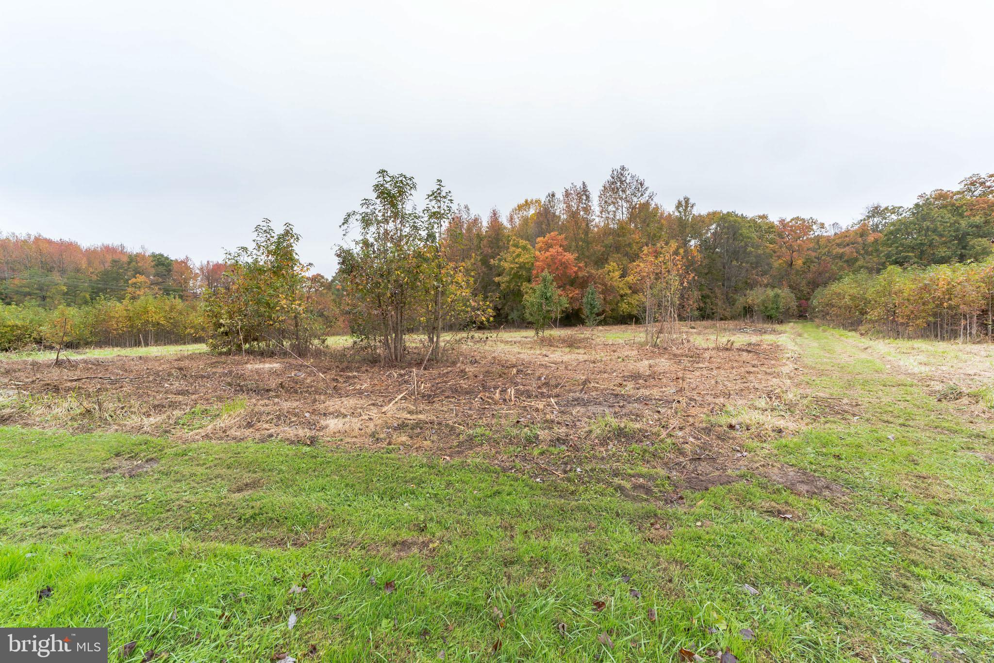 438 Red Toad Road North East, MD 21901 - Photo 30 of 32 Gallery Image 30